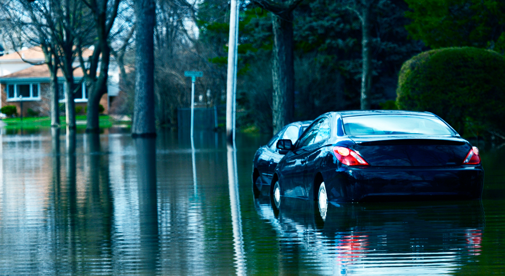 buyer beware post hurricane vehicles